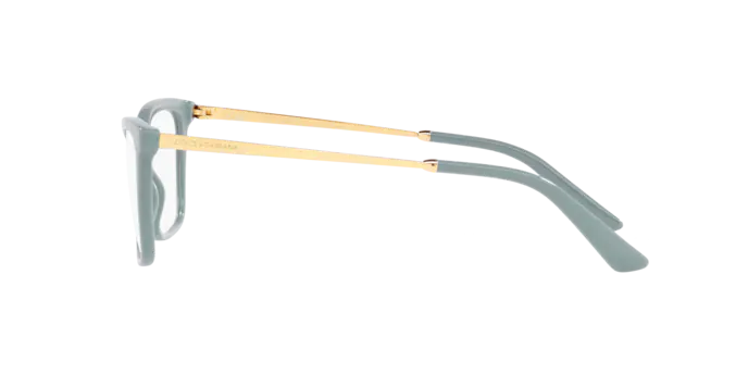 Dolce & Gabbana Eyeglasses DG3347 3346