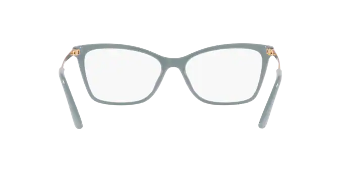 Dolce & Gabbana Eyeglasses DG3347 3346