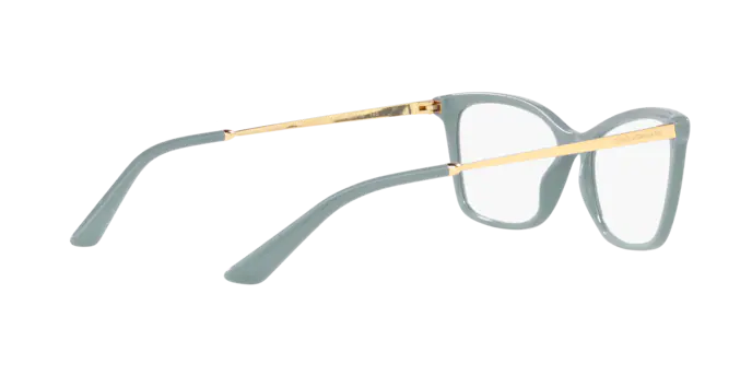 Dolce & Gabbana Eyeglasses DG3347 3346