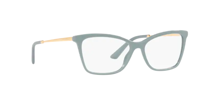 Dolce & Gabbana Eyeglasses DG3347 3346