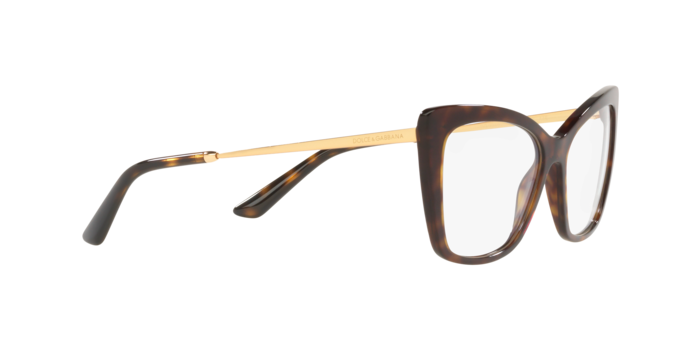 Dolce & Gabbana Eyeglasses DG3348 502