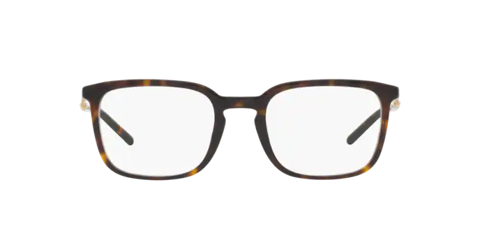 Dolce & Gabbana Eyeglasses DG3349 502