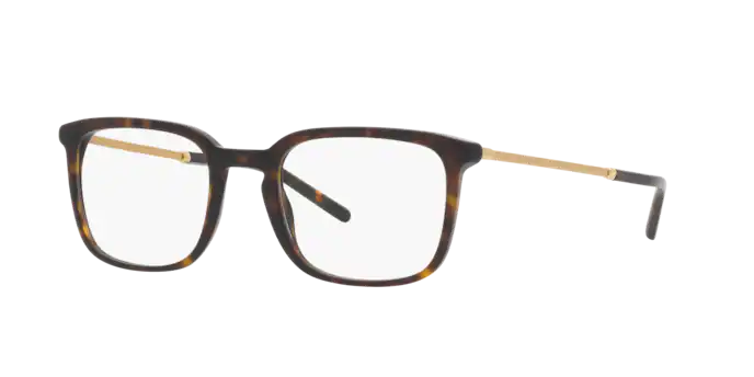 Dolce & Gabbana Eyeglasses DG3349 502