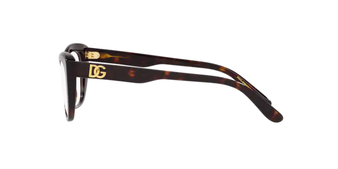Dolce & Gabbana Eyeglasses DG3355 502