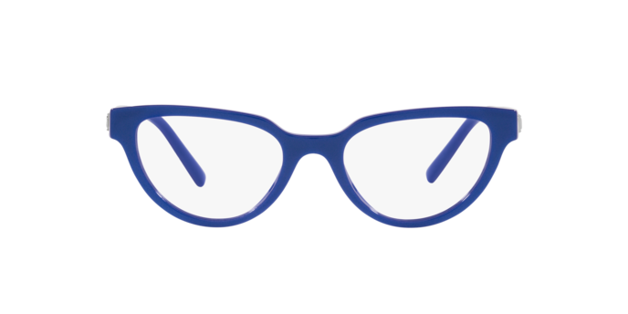 Dolce & Gabbana Eyeglasses DG3358 3378