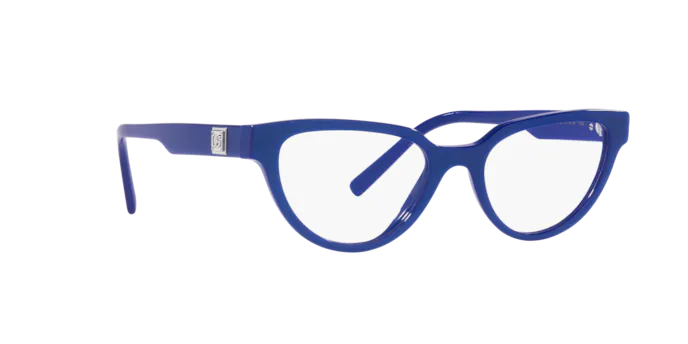 Dolce & Gabbana Eyeglasses DG3358 3378