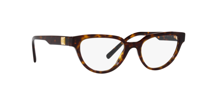 Dolce & Gabbana Eyeglasses DG3358 502