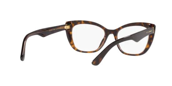 Dolce & Gabbana Eyeglasses DG3360 3256