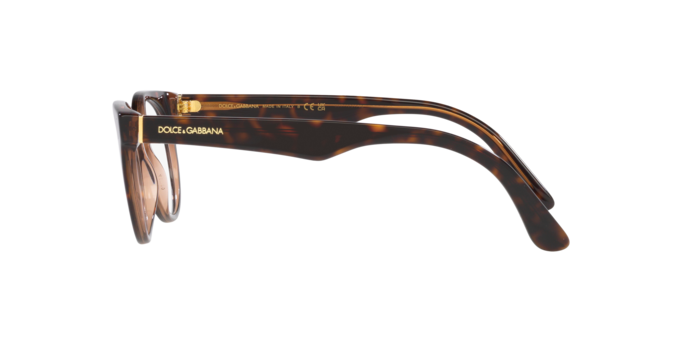 Dolce & Gabbana Eyeglasses DG3361 3256