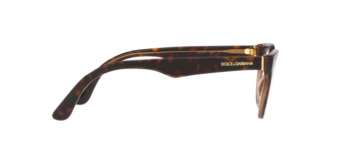 Dolce & Gabbana Eyeglasses DG3361 3256