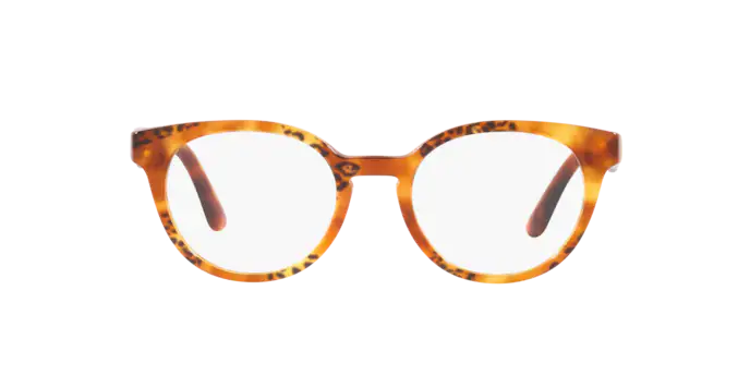 Dolce & Gabbana Eyeglasses DG3361 3380