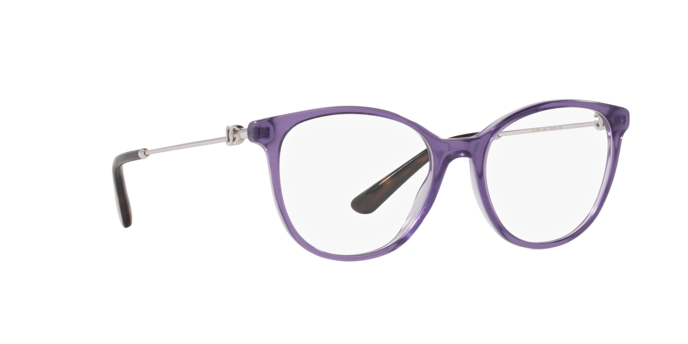Dolce & Gabbana Eyeglasses DG3363 3407