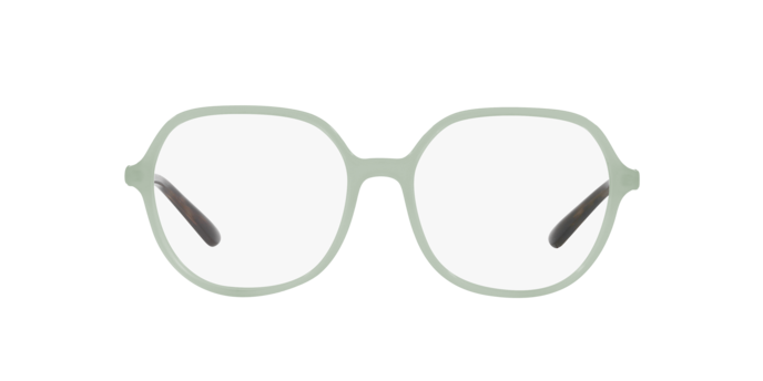 Dolce & Gabbana Eyeglasses DG3364 3345