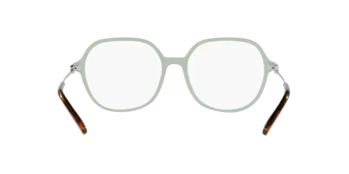 Dolce & Gabbana Eyeglasses DG3364 3345