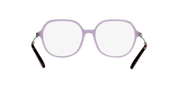 Dolce & Gabbana Eyeglasses DG3364 3382