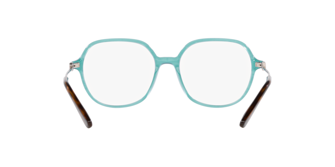 Dolce & Gabbana Eyeglasses DG3364 3406