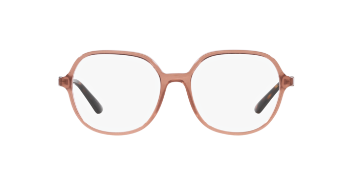 Dolce & Gabbana Eyeglasses DG3364 3411