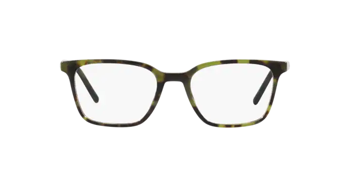 Dolce & Gabbana Eyeglasses DG3365 1735