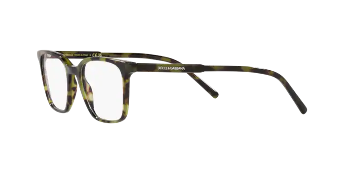 Dolce & Gabbana Eyeglasses DG3365 1735