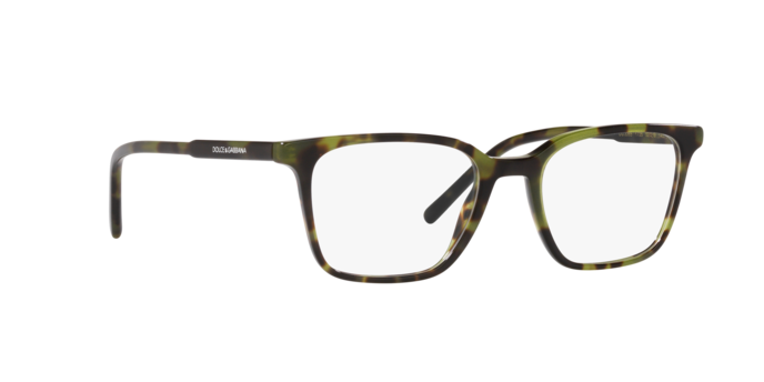 Dolce & Gabbana Eyeglasses DG3365 1735