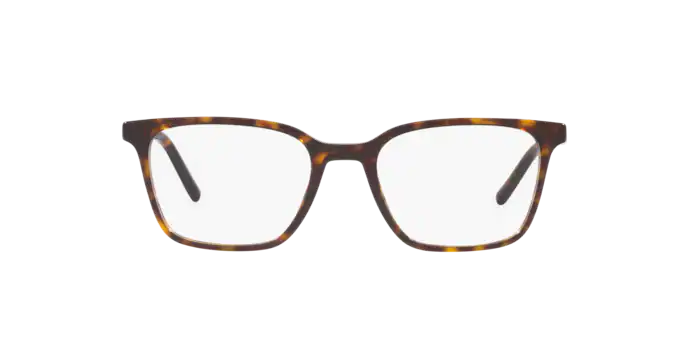 Dolce & Gabbana Eyeglasses DG3365 502
