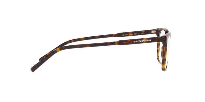 Dolce & Gabbana Eyeglasses DG3365 502