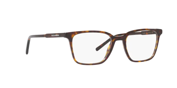 Dolce & Gabbana Eyeglasses DG3365 502