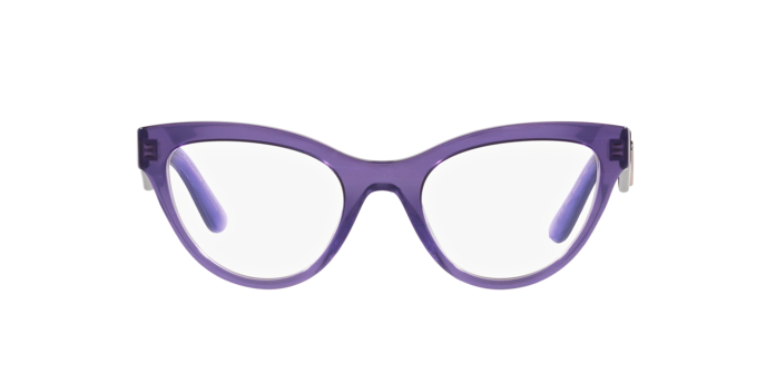 Dolce & Gabbana Eyeglasses DG3372 3407