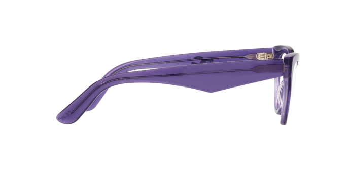 Dolce & Gabbana Eyeglasses DG3372 3407