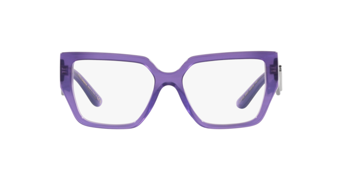 Dolce & Gabbana Eyeglasses DG3373 3407