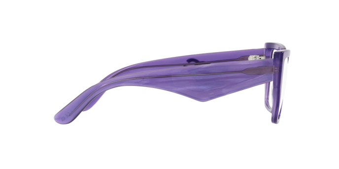 Dolce & Gabbana Eyeglasses DG3373 3407