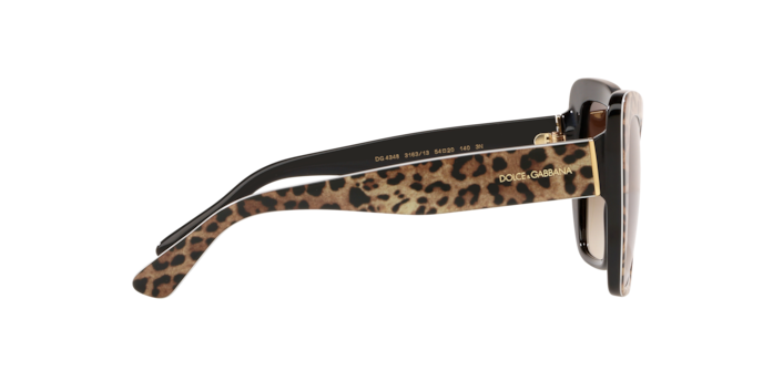 Dolce & Gabbana Sunglasses DG4348 316313