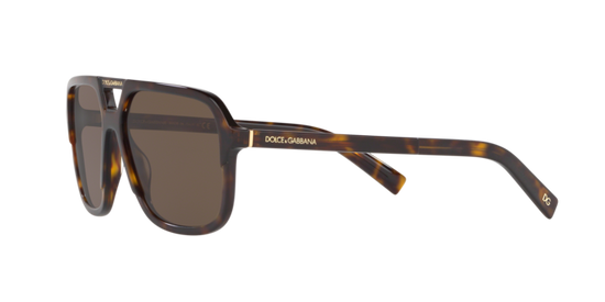 Dolce & Gabbana Sunglasses DG4354 502/73