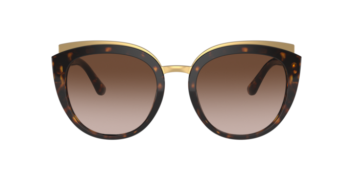 Dolce & Gabbana Sunglasses DG4383 502/13