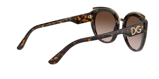 Dolce & Gabbana Sunglasses DG4383 502/13