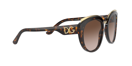 Dolce & Gabbana Sunglasses DG4383 502/13