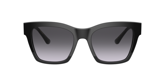 Dolce & Gabbana Sunglasses DG4384 501/8G