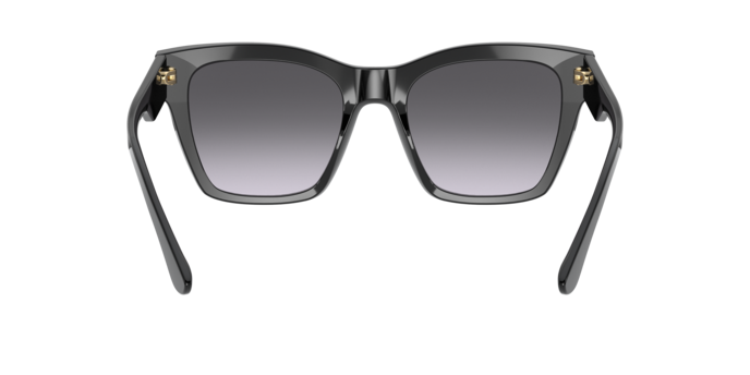 Dolce & Gabbana Sunglasses DG4384 501/8G