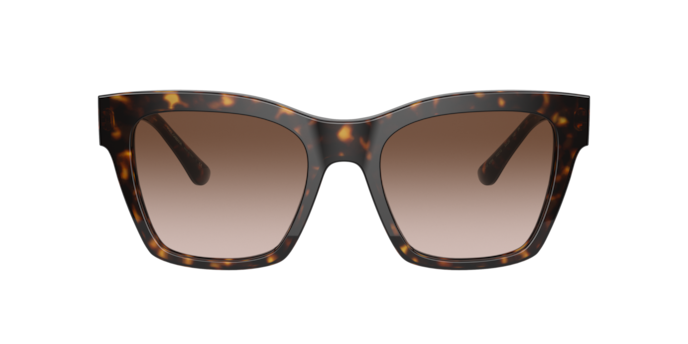 Dolce & Gabbana Sunglasses DG4384 502/13