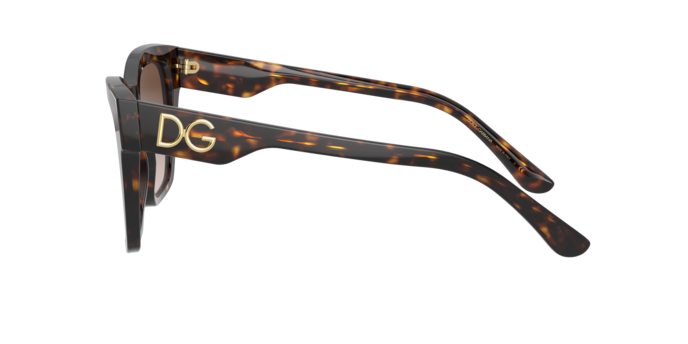 Dolce & Gabbana Sunglasses DG4384 502/13