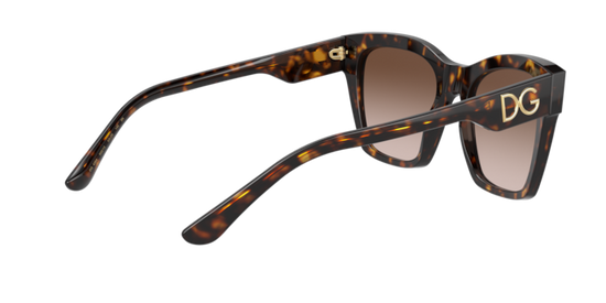 Dolce & Gabbana Sunglasses DG4384 502/13