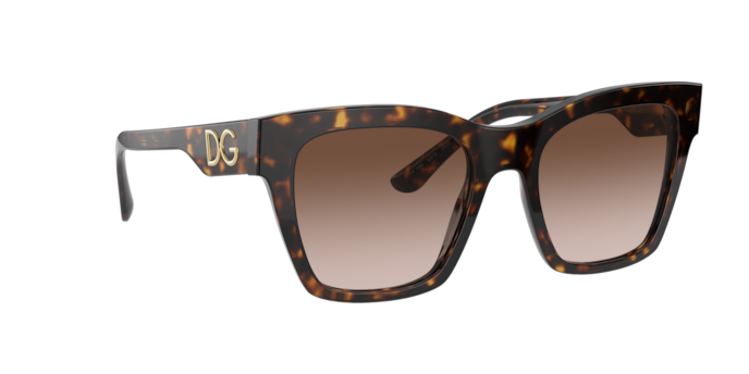 Dolce & Gabbana Sunglasses DG4384 502/13