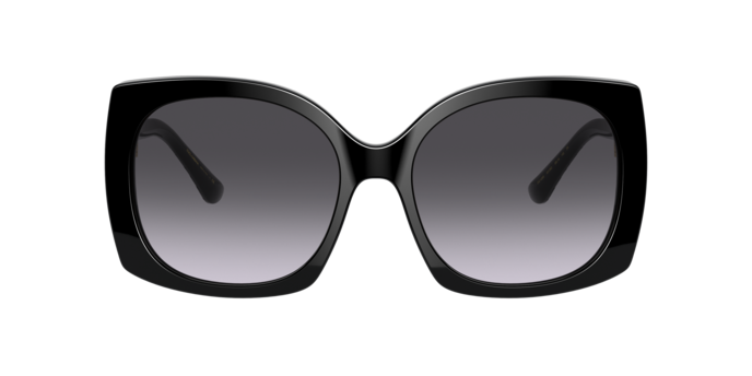 Dolce & Gabbana Sunglasses DG4385 501/8G