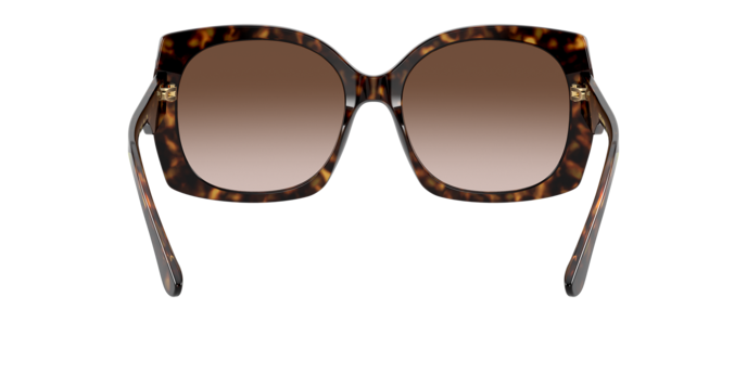Dolce & Gabbana Sunglasses DG4385 502/13