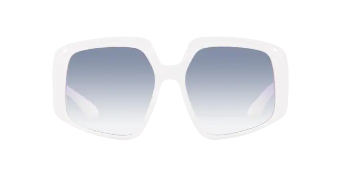 Dolce & Gabbana Sunglasses DG4386 331219
