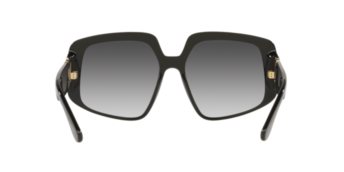 Dolce & Gabbana Sunglasses DG4386 501/8G