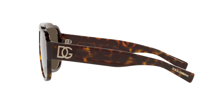 Dolce & Gabbana Sunglasses DG4389 502/73