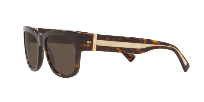 Dolce & Gabbana Sunglasses DG4390 502/73