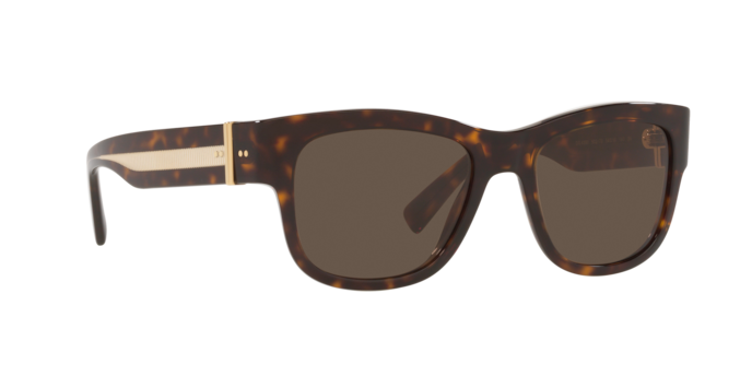 Dolce & Gabbana Sunglasses DG4390 502/73