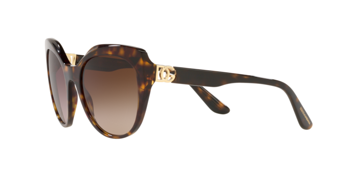 Dolce & Gabbana Sunglasses DG4392 502/13